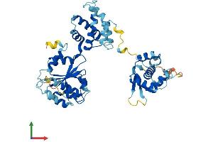 Protein Structure (PS) image for Origin Recognition Complex, Subunit 5 (ORC5) (AA 1-435) protein (His tag) (ABIN7556293)