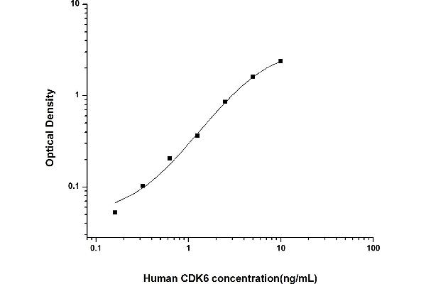 CDK6 ELISA 试剂盒