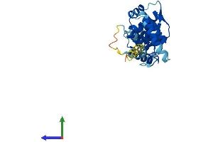 Protein Structure (PS) image for Rhophilin Associated Tail Protein 1-Like (ROPN1L) (AA 1-230) protein (His tag) (ABIN7551500)