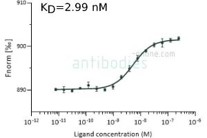 Binding Studies (Bind) image for anti-SARS-CoV-2 Spike S1 (RBD) antibody (ABIN6952546)