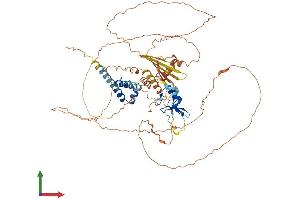 AlphaFold protein structure predicition of Mouse Recombinant Rnf6 Protein, UniprotID Q9DBU5