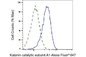 Validation of Katanin catalytic subunit A1 knockdown using flow cytometry. (Recombinant KATNA1 抗体)