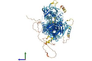 Protein Structure (PS) image for ATPase, Class VI, Type 11A (ATP11A) (AA 1-1187) protein (His tag) (ABIN7563570)