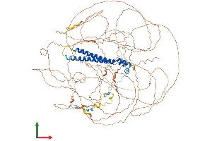 Protein Structure (PS) image for Sin3A-Associated Protein, 130kDa (SAP130) (AA 1-1048) protein (His tag) (ABIN7555609)