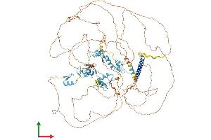 Protein Structure (PS) image for Sal-Like 2 (SALL2) (AA 1-1004) protein (His tag) (ABIN7565143)