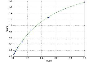 A typical standard curve
