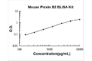 Typical Standard Curve