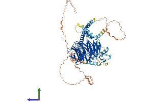 Protein Structure (PS) image for Ring Finger and WD Repeat Domain 2, E3 Ubiquitin Protein Ligase (RFWD2) (AA 1-731) protein (His tag) (ABIN7555202)