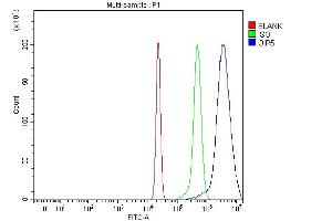 Flow Cytometry analysis of HepG2 cells using anti-OIP5 antibody (ABIN7599121). (OIP5 抗体  (AA 1-229))