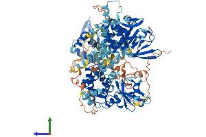 Protein Structure (PS) image for Rap Guanine Nucleotide Exchange Factor (GEF) 3 (RAPGEF3) (AA 1-918) protein (His tag) (ABIN7564727)