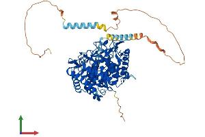 Protein Structure (PS) image for Mannosidase, Alpha, Class 1A, Member 1 (MAN1A1) (AA 1-655) protein (His tag) (ABIN7563269)
