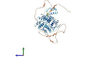 Protein Structure (PS) image for Zinc Finger Protein 133 (ZNF133) (AA 1-654) protein (His tag) (ABIN7545447)