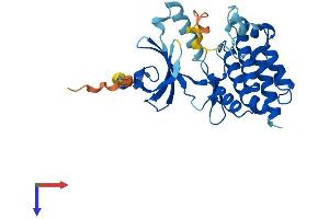 NEK7 Protein (NEK7) (AA 1-302) (His tag)
