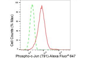 Flow cytometric analysis of Phospho-c-Jun (T91) expression in C2C12 cells using Phospho-c-Jun (T91) antibody (ABIN7799146), 1:2,000).