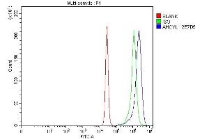 Flow Cytometry analysis of K562 cells using anti-IRBIT/AHCYL1 antibody (ABIN7600029). (AHCYL1 抗体  (AA 14-57))