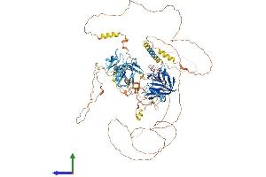 Protein Structure (PS) image for Nuclear Receptor Coactivator 7 (NCOA7) (AA 1-942) protein (His tag) (ABIN7554729)