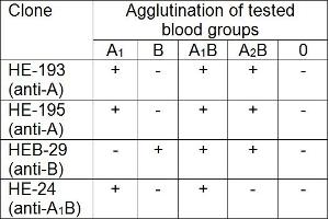 Aggregation (AGG) image for anti-ABO, Blood Group A Antigen antibody (ABIN7014009) (ABO, Blood Group A Antigen 抗体)
