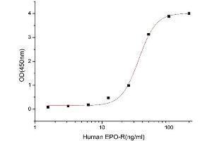 Erythropoietin Receptor (EPOR) (AA 25-250) (Active) protein (His-Fc tag)