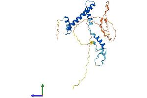 AlphaFold protein structure predicition of Mouse Recombinant Taf9 Protein, UniprotID Q8VI33