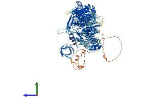AlphaFold protein structure predicition of Mouse Recombinant Myo1f Protein, UniprotID P70248