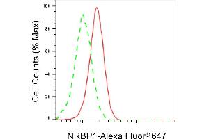Flow cytometric analysis of NRBP1 expression in C2C12 cells using NRBP1 antibody (ABIN7799649), 1:2,000). (NRBP1 抗体)