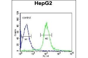 MGST2 Antibody (C-term) (ABIN652824 and ABIN2842536) flow cytometric analysis of HepG2 cells (right histogram) compared to a negative control cell (left histogram). (MGST2 抗体  (C-Term))