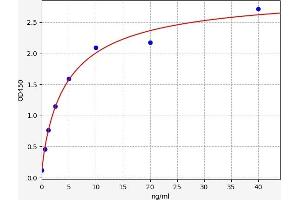 CYP27B1 ELISA 试剂盒