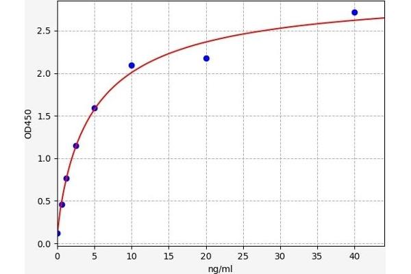 CYP27B1 ELISA 试剂盒