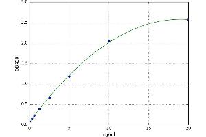 Ataxin 1 (ATXN1) ELISA Kit