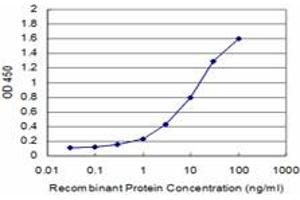 ELISA image for anti-Glutamate Receptor 1 (GLUR1) (AA 201-300) antibody (ABIN516185)