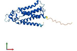 AlphaFold protein structure predicition of Mouse Recombinant Plpp5 Protein, UniprotID Q3UMZ3