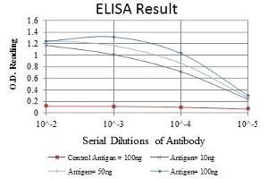 Red: Control Antigen (100 ng), Purple: Antigen (10 ng), Green: Antigen (50 ng), Blue: Antigen (100 ng), (NCOA3 抗体)