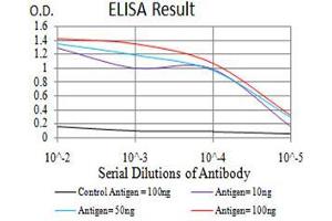 Black line: Control Antigen (100 ng),Purple line: Antigen (10 ng), Blue line: Antigen (50 ng), Red line:Antigen (100 ng) (VEGFA 抗体  (AA 207-371))