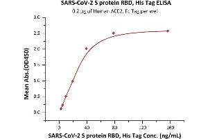 ELISA image for SARS-CoV-2 Spike S1 (RBD) protein (His tag) (ABIN6952628)