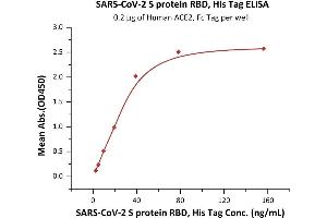 Immobilized Human ACE2, Fc Tag (ABIN6952465) at 2 μg/mL (100 μL/well) can bind SARS-CoV-2 S protein RBD, His Tag (ABIN6952628) with a linear range of 2-39 ng/mL (QC tested). (SARS-CoV-2 Spike S1 Protein (RBD) (His tag))