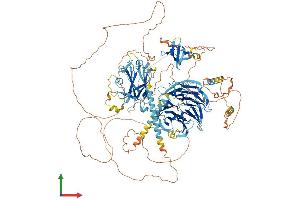 Protein Structure (PS) image for Abelson Helper Integration Site 1 (AHI1) (AA 1-1196) protein (His tag) (ABIN7552107)