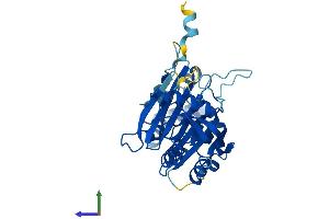 Protein Structure (PS) image for Ribonuclease P/MRP 40kDa Subunit (RPP40) (AA 1-363) protein (His tag) (ABIN7559667)