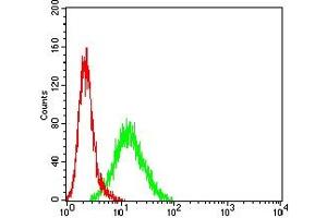 Flow cytometric analysis of MCF-7 cells using CDKN1C mouse mAb (green) and negative control (red).
