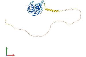 Protein Structure (PS) image for PRP38 Pre-mRNA Processing Factor 38 (Yeast) Domain Containing A (PRPF38A) (AA 1-312) protein (His tag) (ABIN7551030)