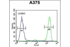 IT Antibody (N-term) (ABIN651135 and ABIN2840091) flow cytometric analysis of  cells (right histogram) comred to a negative control cell (left histogram). (ITPA 抗体  (N-Term))