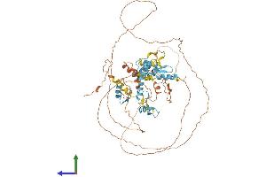AlphaFold protein structure predicition of Mouse Recombinant Hic2 Protein, UniprotID Q9JLZ6