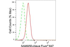 Flow cytometric analysis of SAMM50 expression in HeLa cells using SAMM50 antibody (ABIN7800407), 1:2,000). (Recombinant SAMM50 抗体)