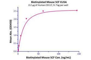 Binding Studies (Bind) image for Mast/stem Cell Growth Factor Receptor (KIT) (AA 26-516) (Active) protein (Fc Tag) (ABIN2870619)