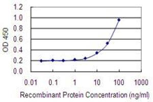 Detection limit for recombinant GST tagged ASB5 is 1 ng/ml as a capture antibody. (ASB5 抗体  (AA 220-328))