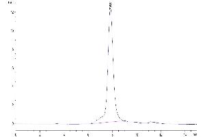 Size-exclusion chromatography-High Pressure Liquid Chromatography (SEC-HPLC) image for GARP & Latent TGF beta 1 Complex (AA 20-628) protein (His-Avi Tag) (ABIN7274705)