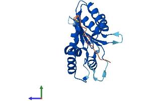 AlphaFold protein structure predicition of Human Recombinant APOBEC3H Protein, UniprotID Q6NTF7