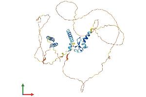 AlphaFold protein structure predicition of Mouse Recombinant Ints12 Protein, UniprotID Q9D168