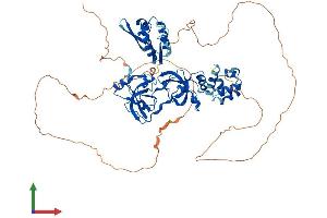 Protein Structure (PS) image for Sex Comb On Midleg Homolog 1 (SCMH1) (AA 1-660) protein (His tag) (ABIN7545893)