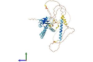 Protein Structure (PS) image for HERPUD Family Member 2 (HERPUD2) (AA 1-404) protein (His tag) (ABIN7561581)