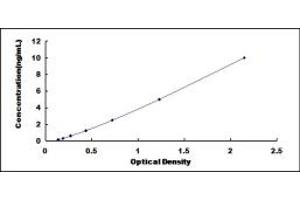 Typical standard curve (ULBP2 ELISA 试剂盒)